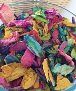 Rainbow Rose Petals