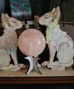 cat sphere sphynx holder (05)